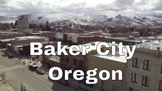 Drone Baker City, Oregon | Metal Animal Art