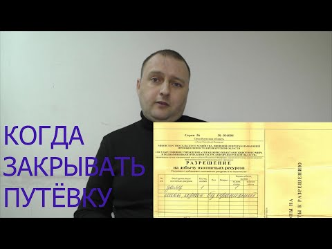 Разрешение/путёвка на добычу. Когда делать запись о добыче