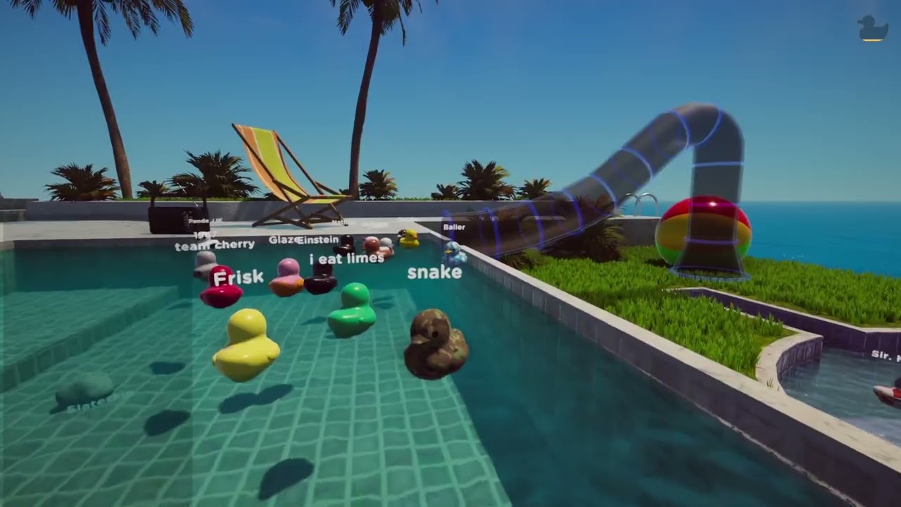 Ducks Infinity Cool 1