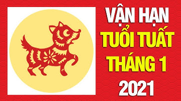 Tử Vi Vận Hạn Tháng 1/2021 Tuổi Tuất Sẽ Có Biến Cố Như Thế Nào, Nghèo Khó Hay Giàu Sang?