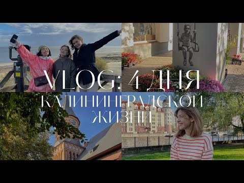 VLOG: КАЛИНИНГРАД ЗА 4 ДНЯ. Балтийское море, Светлогорск, Зеленоградск и котики 🐈