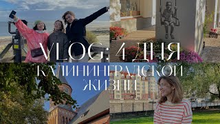 VLOG: КАЛИНИНГРАД ЗА 4 ДНЯ. Балтийское море, Светлогорск, Зеленоградск и котики 🐈