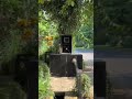 #soundsystem