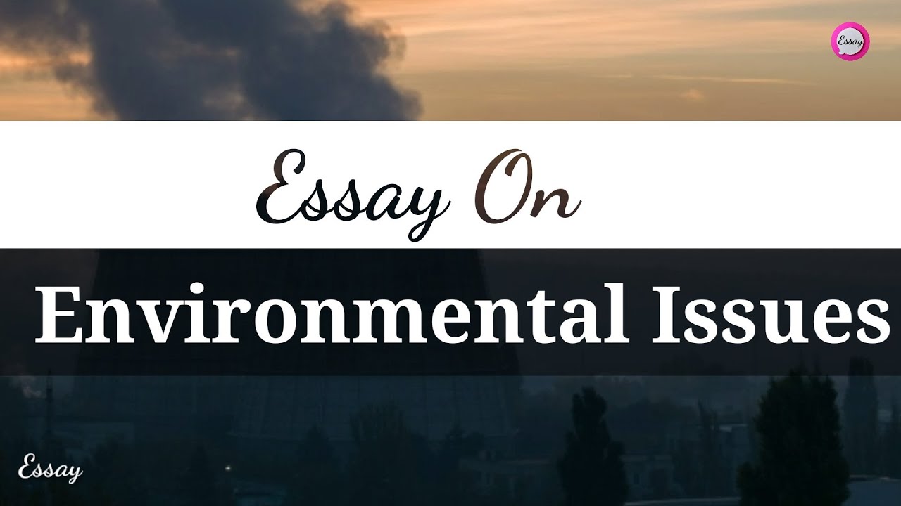persuasive essay on environmental issues