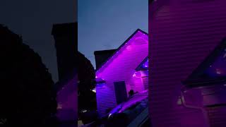 RGBW Lights
