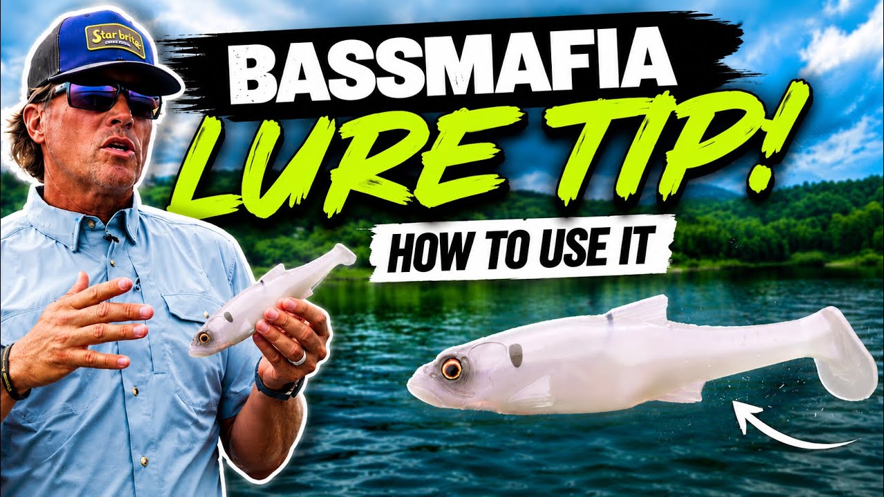 BassMafia’s SECRET Weapon? Here’s How to Fish It.