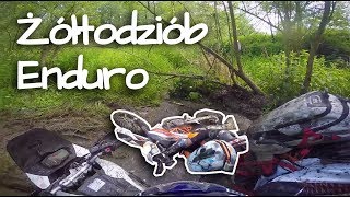 Żółtodziób wraca na rajd enduro (Tukan)