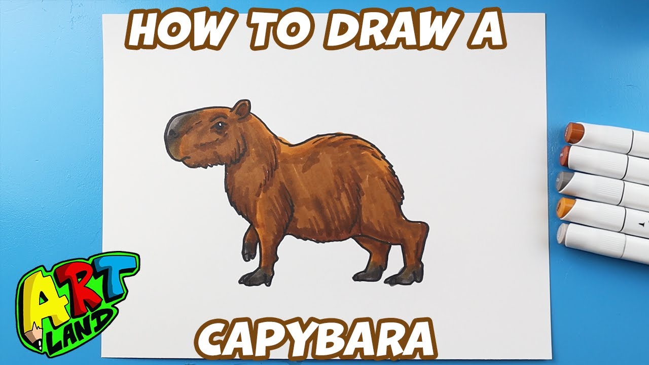 How to draw CAPYBARA step by step, VERY EASY and fast 