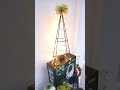 Redragon - Hacemos un ÁRBOL DE NAVIDAD DE TECLADOS 🎄😎✨