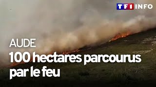 Aude : des dizaines d'hectares ravagés par le feu