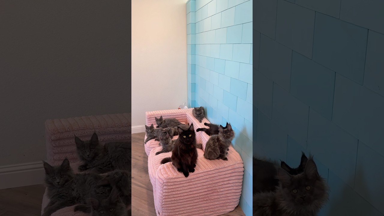 Moms are superheroes 💪🏼 