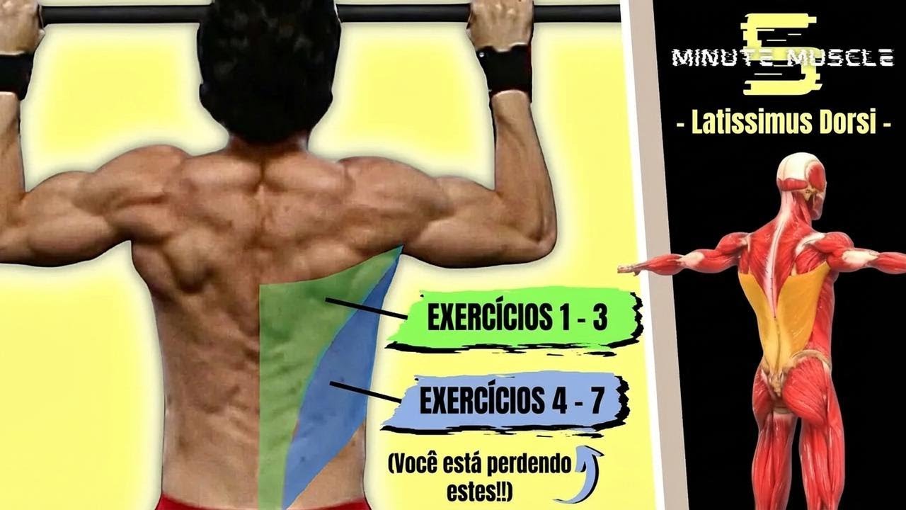 5 segredos para turbinar o treino de costas! O que ninguém te contou sobre o latíssimo!