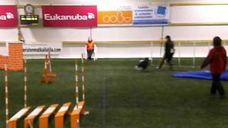 106 ATT 13.2.2010 C.AVI