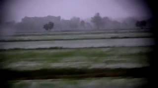 00189   Moving Train Window & Foggy 3D Trees Passing