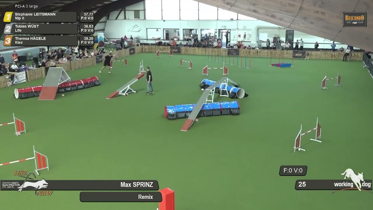 Agility Large Max SPRINZ Remix, Qualifications Germany, May 2025