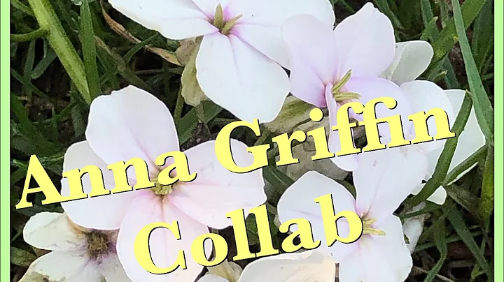 Anna Griffin collab