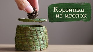 Корзинки из сосновых иголок, чего только не придумают!