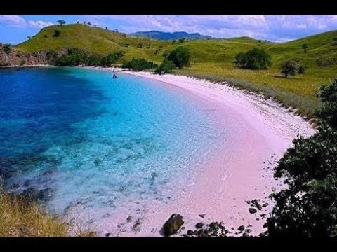 Pesona Pantai Pink Bima  NTB YouTube