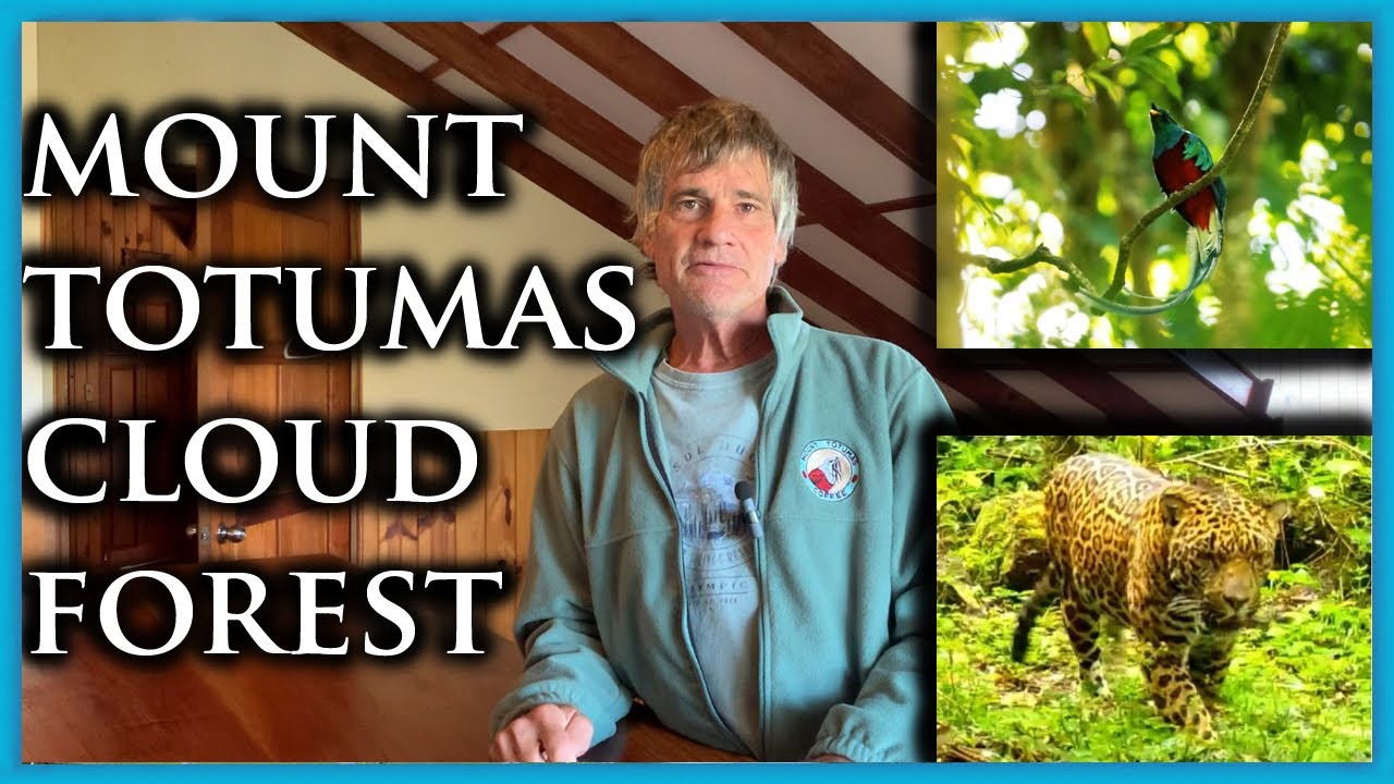 Volcan Living: Interview of Jeffrey Dietrich of Mount Totumas Ecolodge Cloud Forest Chiriqui Panama