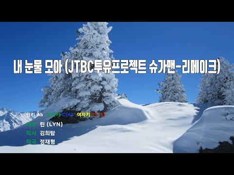 [은성 반주기] 내눈물모아(JTBC투유프로젝트슈가맨-리메이크) - 린(LYN)
