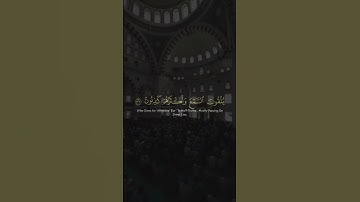 ( وتوكل على العزيز الرحيم ) ياسر الدوسري | سورة الشعراء | اللهم صلّ وسلم على نبينا محمد .