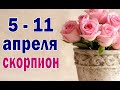 СКОРПИОН 🌼 неделя с 5 по 11 апреля. Таро прогноз гороскоп