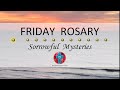 Friday Rosary • Sorrowful Mysteries of the Rosary 💜 January 5, 2024 VIRTUAL ROSARY - MEDITATION