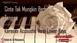 Tangga - Cinta Tak Mungkin Berhenti Karaoke Piano Versi Lower Keys