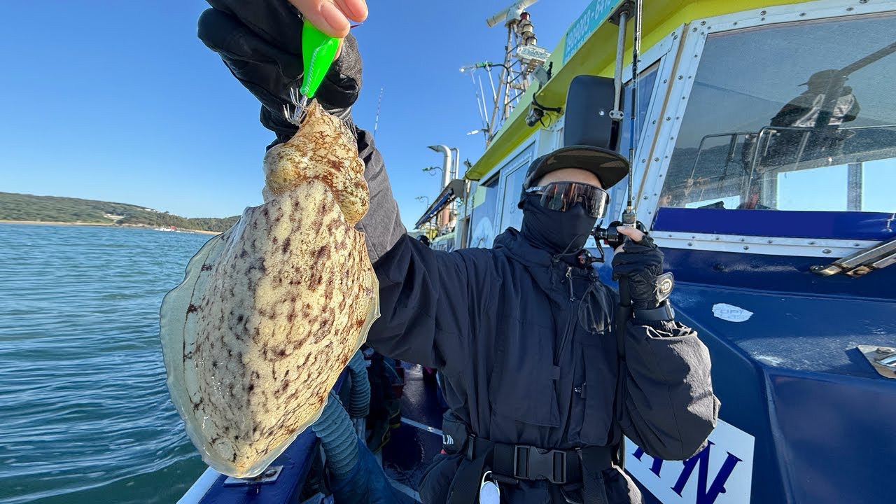 갑오징어 낚시의 현실