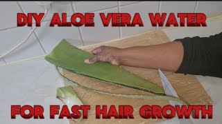 DIY: ALOE VERA WATER IN 10 MINUTES FOR RAPID HAIR GROWTH | People's Digest