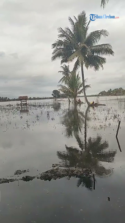 KONDISI TERKINI BANJIR PANGANDARAN, Petani Hanya Bisa Pasrah Melihat Sawahnya Terendam Banjir