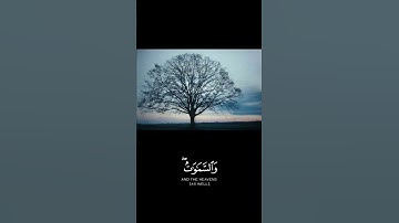 القرآن الكريم | سورة إبراهيم | للقارئ العزيز العسيري | تلآوة خاشعة جميلة جدآ 😌❤ | حالات واتس اب