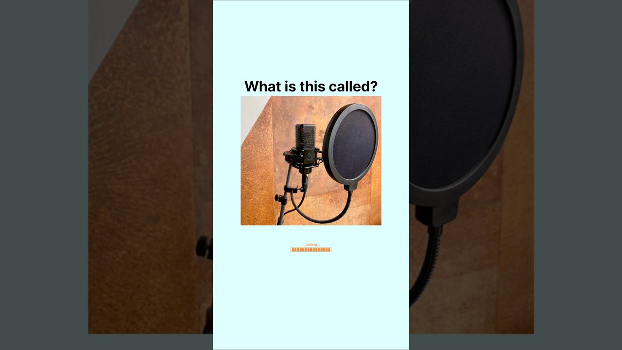 Can you about these types of audio devices? 