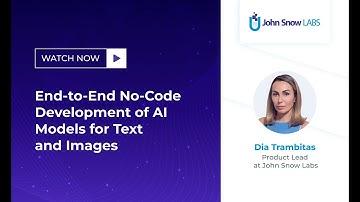 End-to-End No-Code Development of AI Models for Text and Images