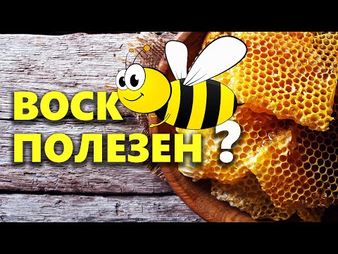 Полезные свойства пчелиного воска и применение для здоровья