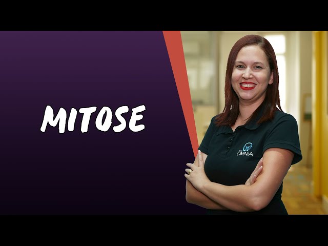 O que é mitose? - Brasil Escola