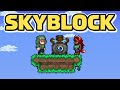 Let's BEAT Terraria Skyblock... (1.4.5)