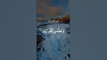 أَلاَ بِذِكْرِ الله تَطْمَئِنُّ القُلُوبْ || سورة الرعد ||