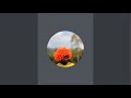 Joyfunny is live!
