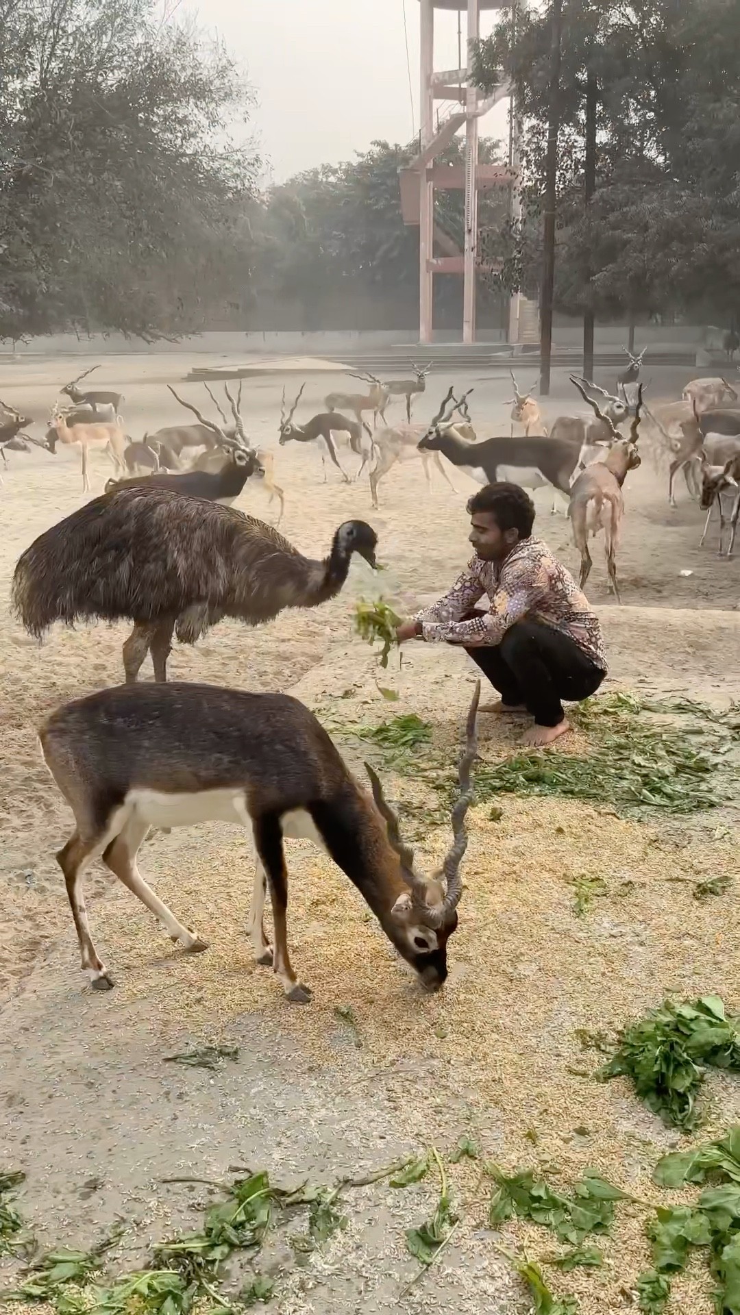 सुकून?❤️?#humanity #respect #helping #trending #viralvideo #youtubeshorts
