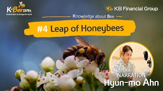 Leap of Honeybees