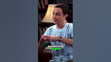 Rock, Paper, Scissors, Lizard, Spock  The Ultimate Game Explained 1