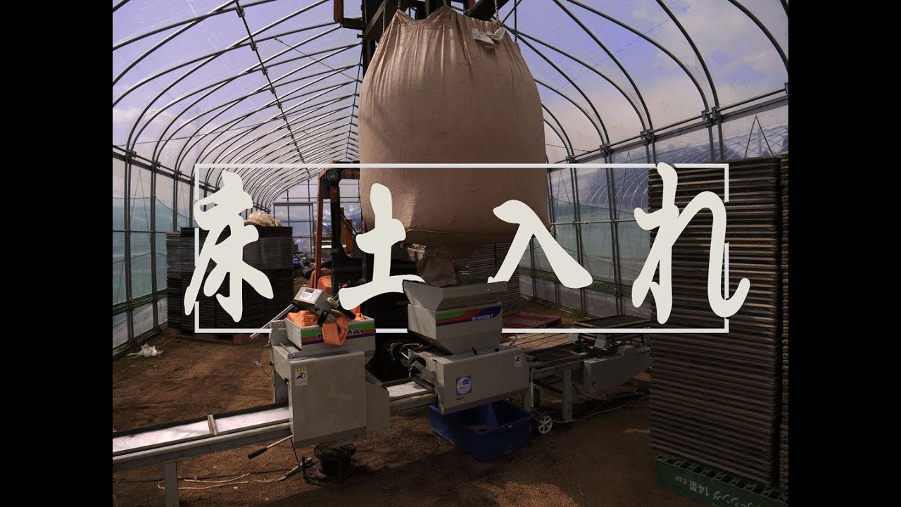 床土を苗箱に入れる！