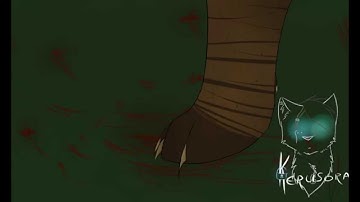 MAP - Falling inside the black part 20