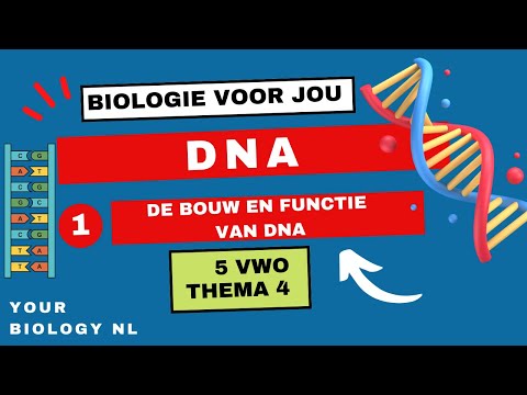 Video: Wat is die funksie van deoksiribose suiker in DNA?