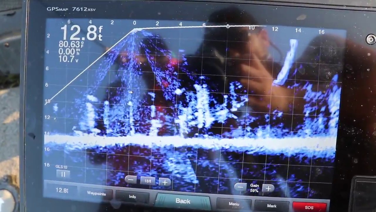 Garmin Panoptix Livescope For Perch 