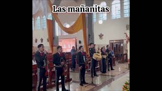 Las Mañanitas con Mariachi Sta Maria Magdalena