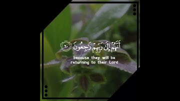 أرح سمعك 🥀القارئ: مشاري العفاسي 🍃حالات واتس آب