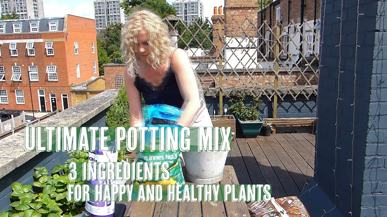 DIY Potting Mix For Indoor Plants - YouTube