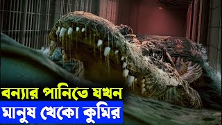 THE FLOOD (2023) explanation In Bangla Movie review In Bangla | Random Video Channel